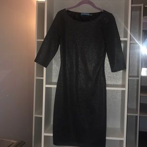 Alice and Oliva gray Black  sheer dress size xs
